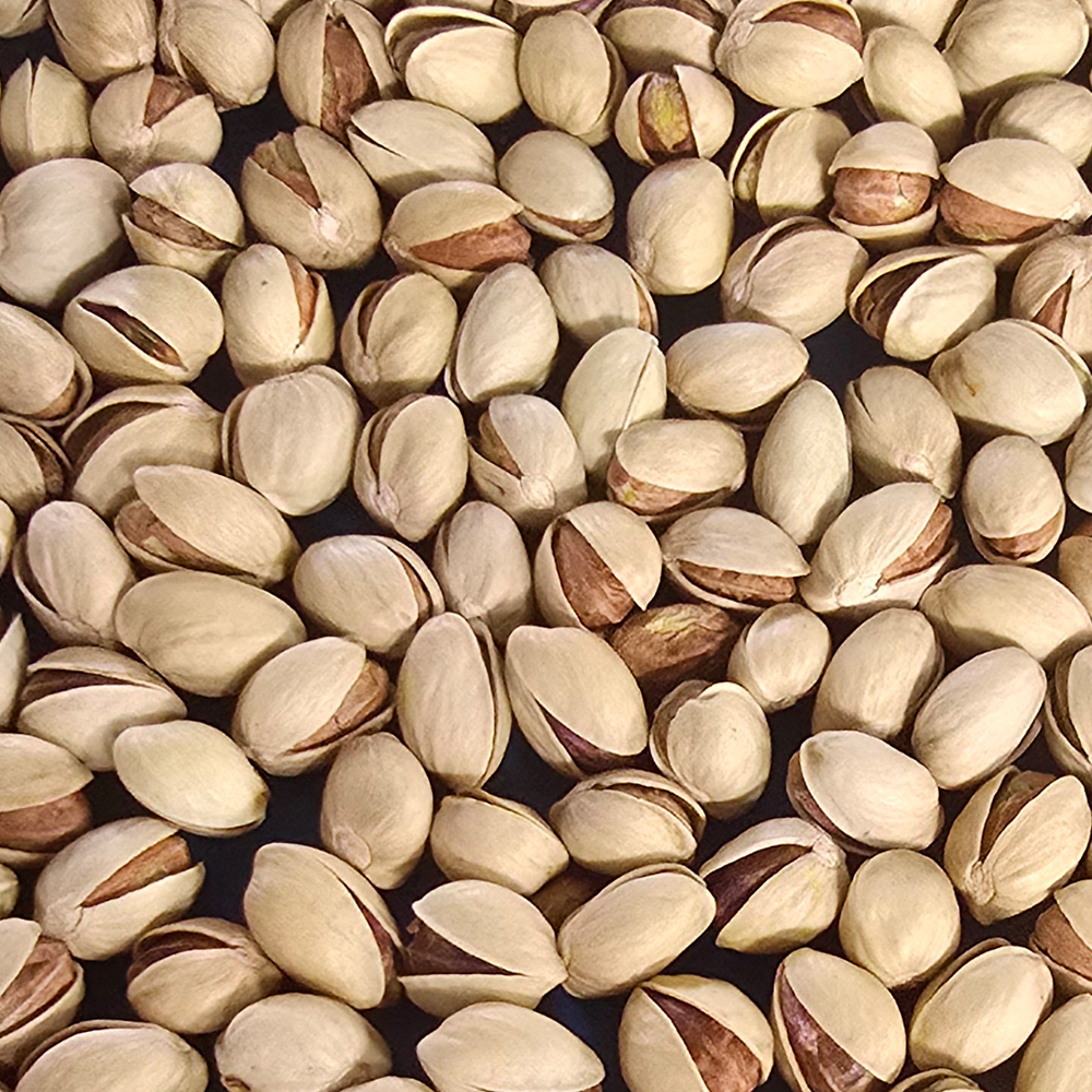 Fandoghi Pistachio (Round & Classic)