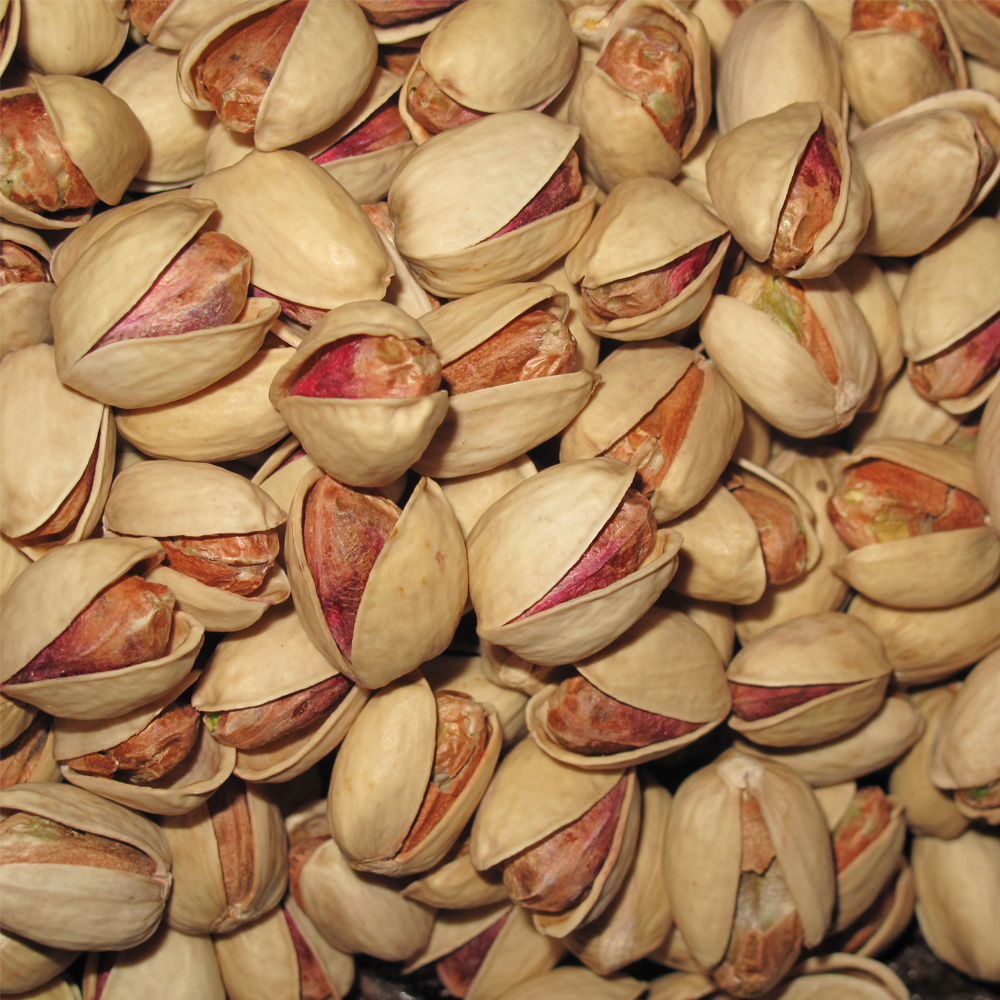 Kalleh Ghouchi Pistachio (Jumbo & Rich)